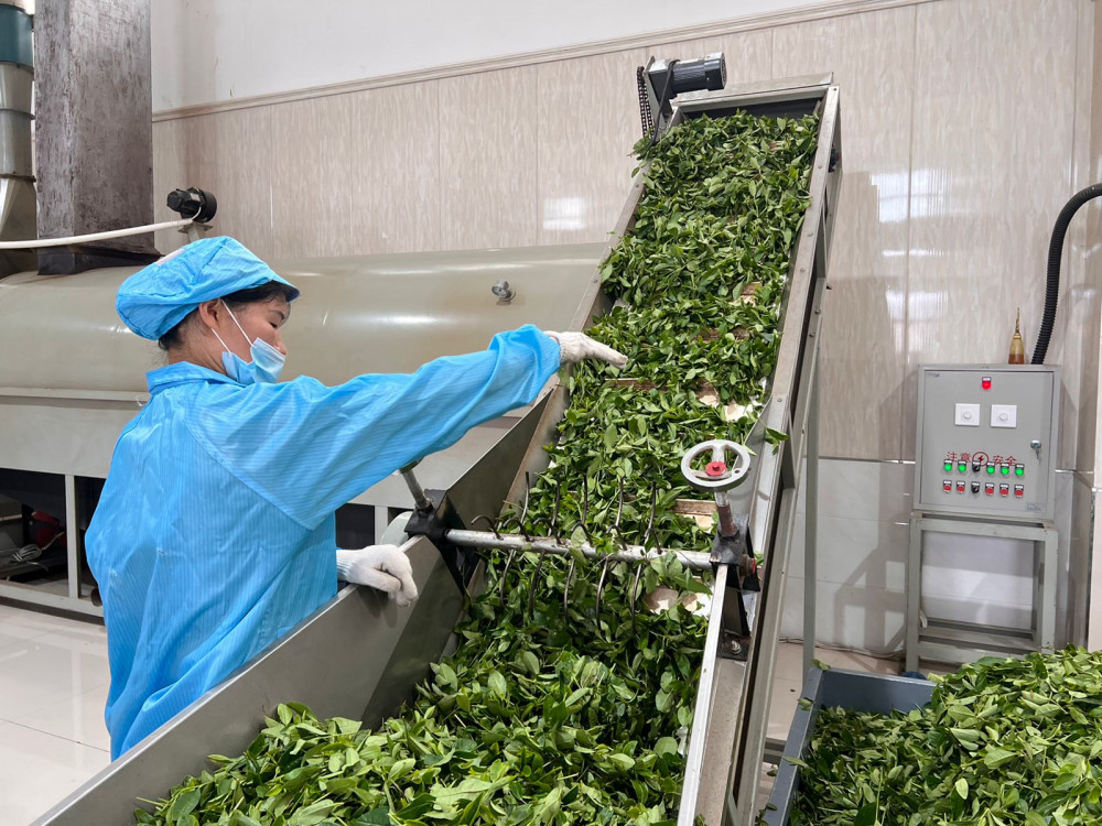 Dorcel Airlines порно Алғаш рет аяқтың арасында жыныстық қатынасқа түсу